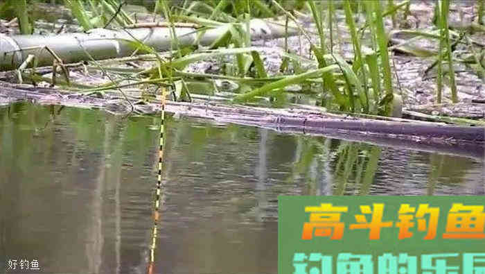 通过两个技巧，可以判断漂调得准不准