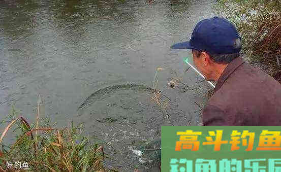 台钓如何调漂？浅谈调漂的本质和基本技巧