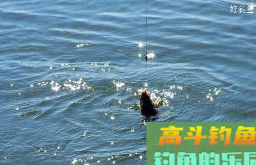 高手经验之早春钓鱼如何精确调漂找底