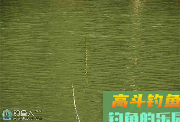 冬季大棚实战的调钓技法