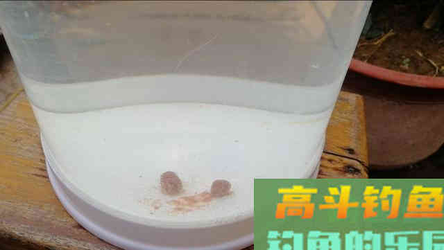 全网最详细的调漂讲解，这样在新手也能理解