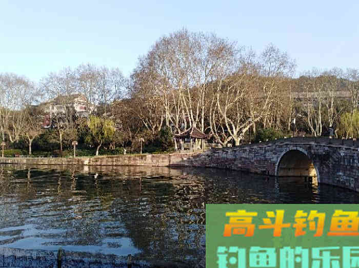 钓鲫鱼的漂相解析