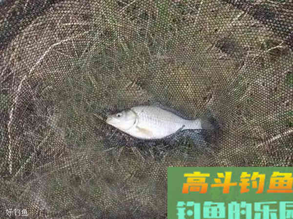 调漂如何精确找底？野钓水底复杂如何应对？