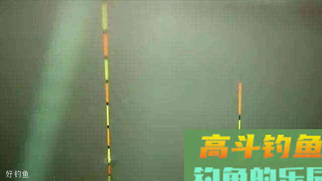 简单高效的用漂小技巧，野钓从此不迷茫