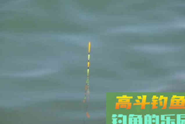 什么是调漂找口，就是调整钩饵位置，方便鱼找口