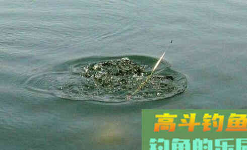 台钓如何实现调四钓二的八个要点