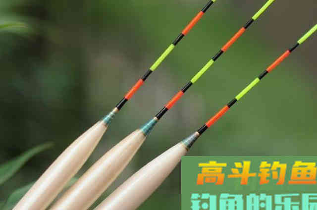 钓鲤鱼的调漂绝活，十用九准，看完莫忽视