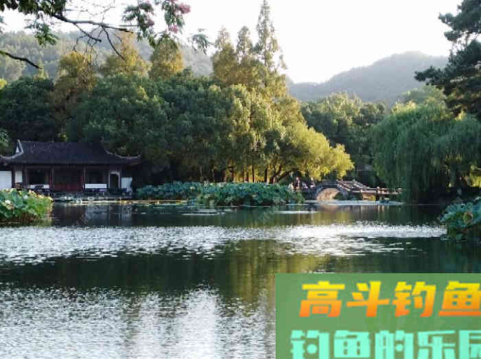 浮漂性能与调钓技巧，调好漂是爆护最关键一步