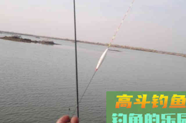 调漂的关键是根据鱼情和水情进行转换的