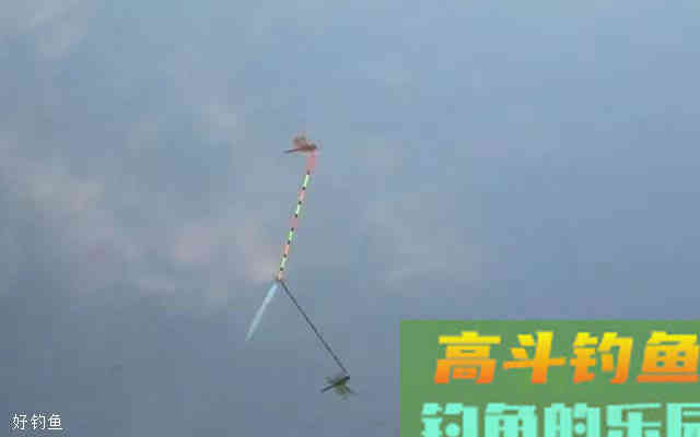 判断鱼有无上钩的5种台钓漂相
