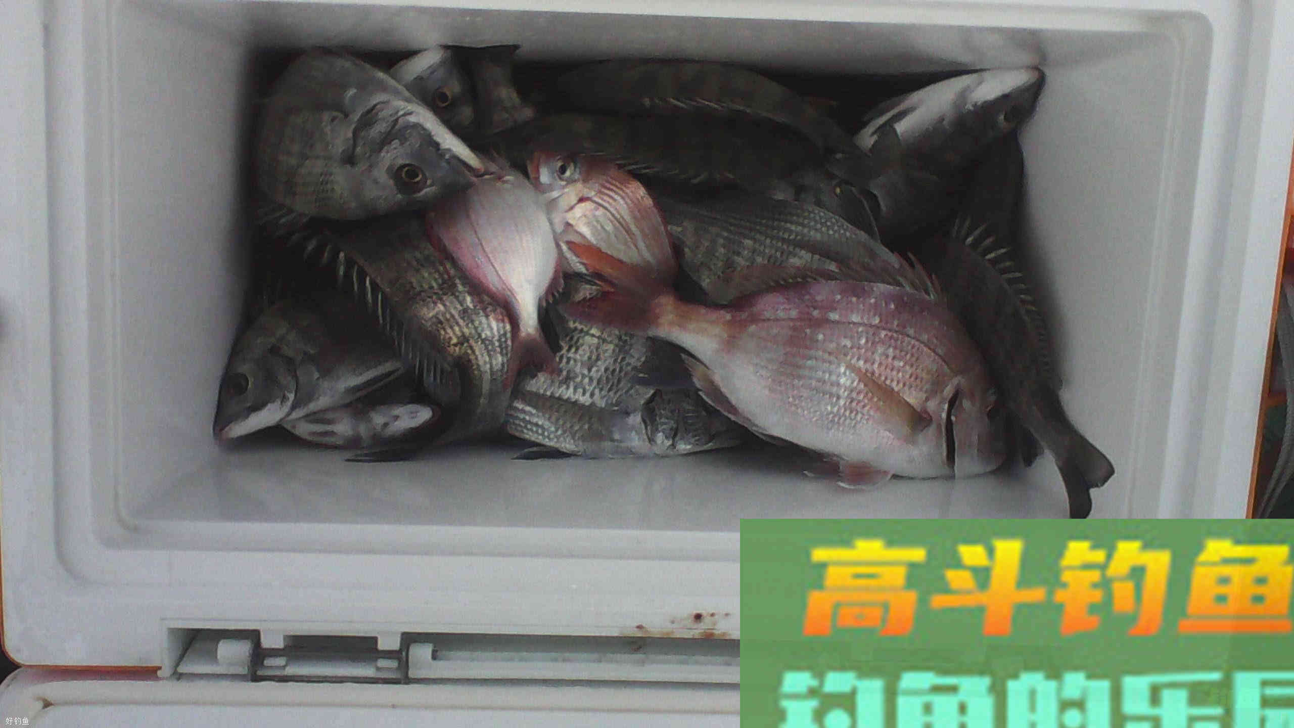 怎样才能成功找底？两个技巧来帮你