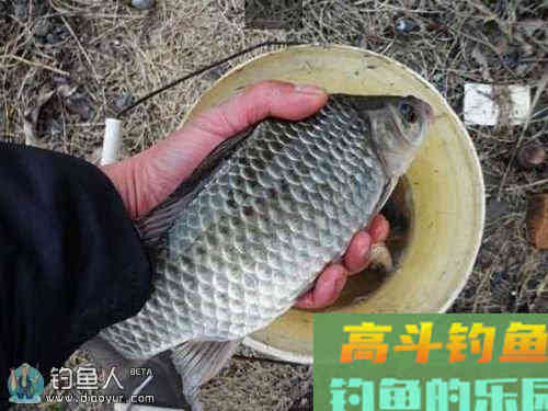 钓鱼达人谈野钓中的调钓技巧