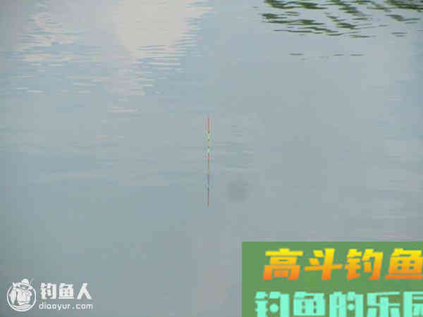 水情变化与鲫鱼咬钩的漂相动作分析