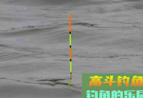 钓着钓着浮漂涨目了，到底是为什么？