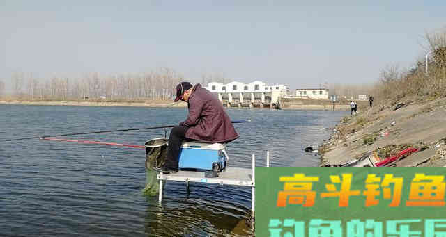 浮漂的调钓，到底何为灵？何为钝？