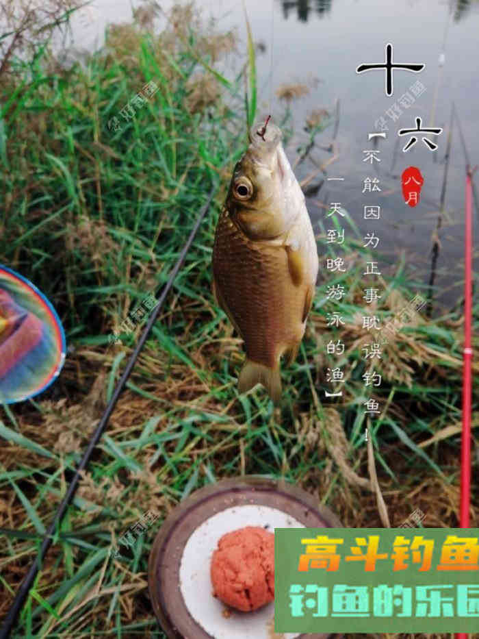 什么情况要调平水钓一两目，话空钩半水调漂