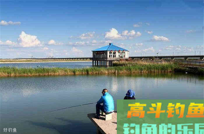 秋季钓鱼怎么调漂？三大技法都在这了