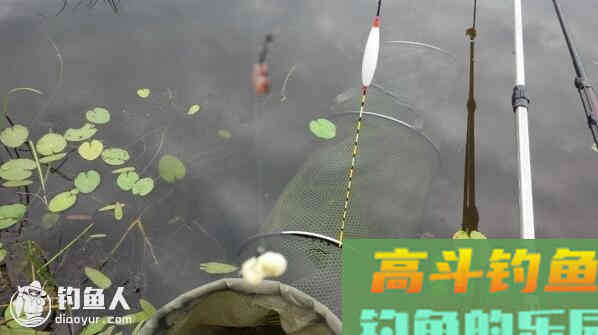 关于台钓浮漂的灵顿调法应用