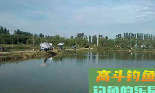 小崔解读：遇水底酱层如何调漂？