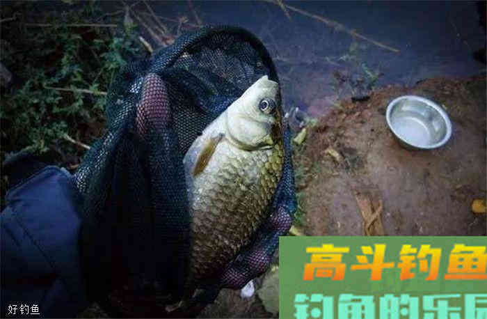 秋季野钓调漂技巧，别一再迷恋台钓的调四钓二