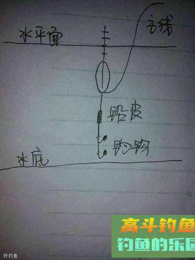 图解0基础钓鱼调漂的6大步骤