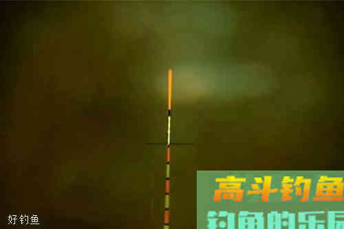 如何调漂？钓鱼高手分享调漂经验