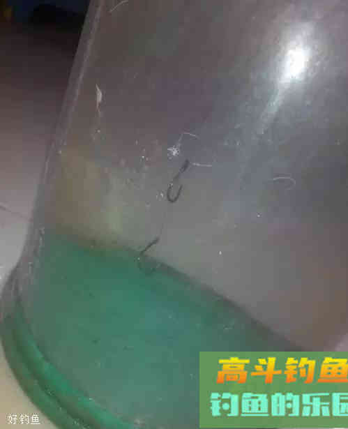 半水调漂挂蚯蚓饵的7个步骤