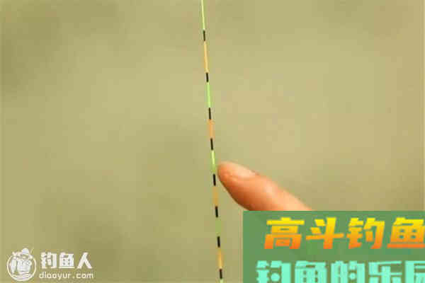 四类常见鱼情的调漂应对技巧