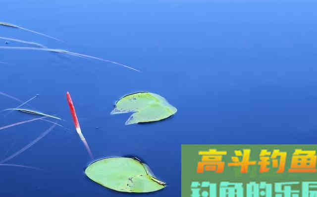 冬季降温自然水域鱼口轻该如何调钓？解析2调钓技巧