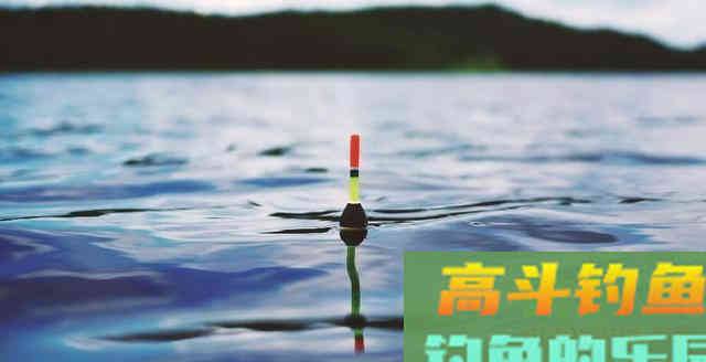 调二钓二有什么优势？我来告诉你