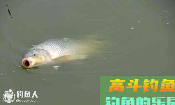 鱼口吃相与调漂的关系介绍