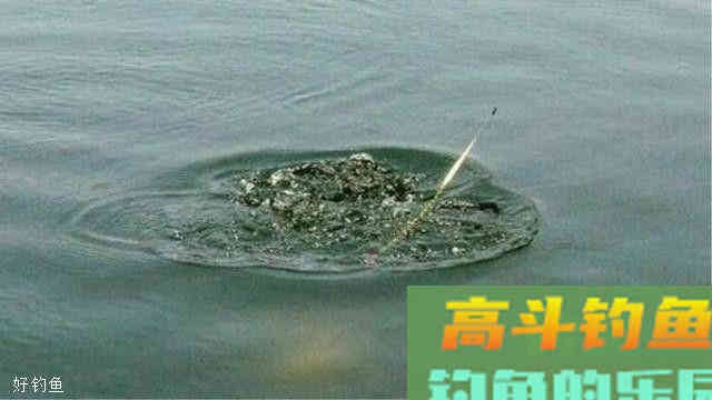 论调高钓低与调低钓高，看完反思一下，你真的会调漂吗？