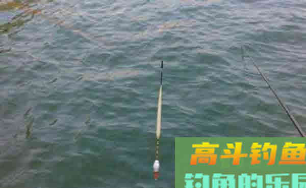 调钓不建议随时都操作，遇到这几种情况就要