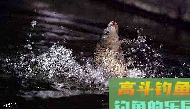 简易实用调漂法，从此钓鱼不迷惑