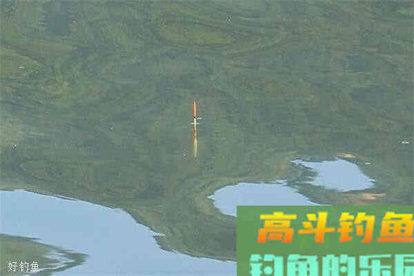 野钓调漂不妨试试这2招，方法简单效果不一般