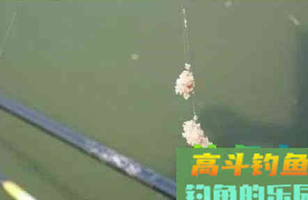 半水调漂老不正确？一定是这三点错了