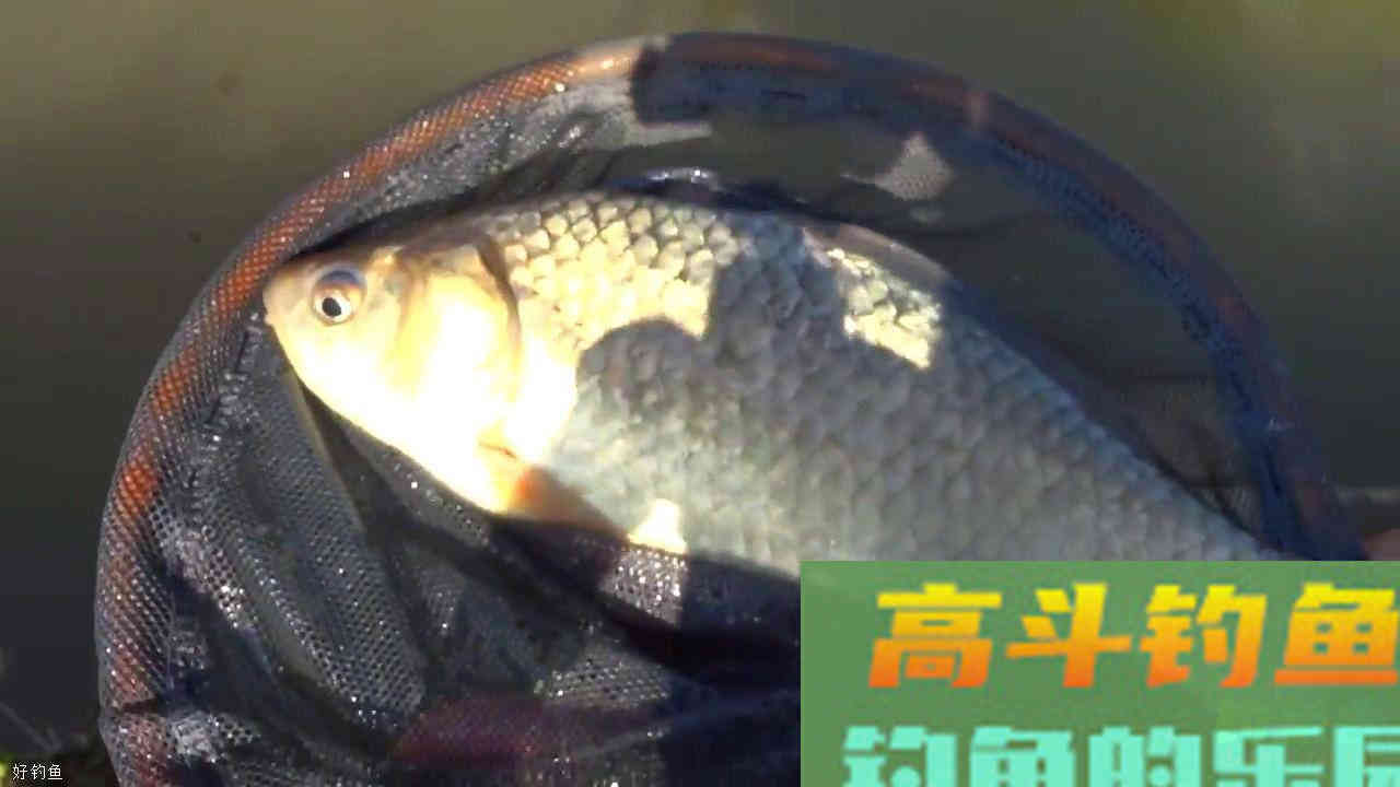 调一钓二和调三钓二的这些差别，你清楚吗？