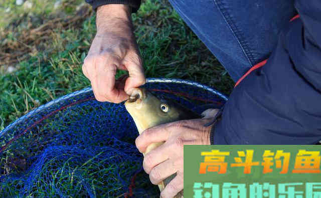 为什么你调钓之后钓不到鱼？老钓友教你如何判断