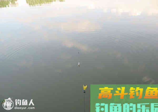 高手分享清晰顿口漂像的调钓见解