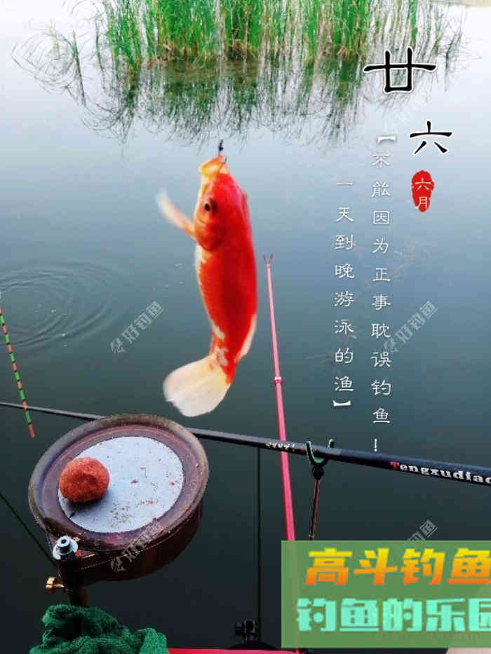 什么情况要调平水钓一两目，话空钩半水调漂