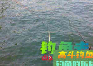 无需找底的2种快速调漂技巧