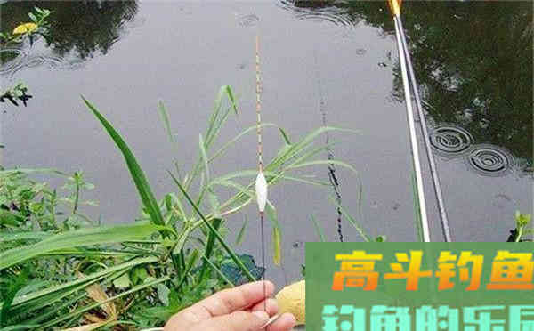 浮漂的软硬尾，从物理学角度来说，怎么用，其实很简单