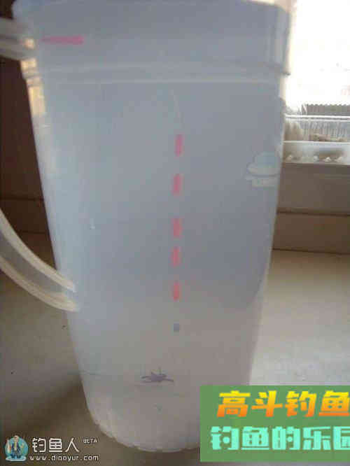 冬钓鲫鱼的星漂传统线组调漂技巧
