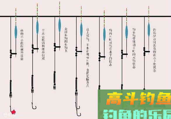 怎么看钓灵还是钓顿？20年老钓友两句话总结
