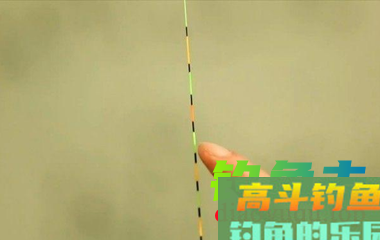 调几钓几到底什么意思？看了你就明白