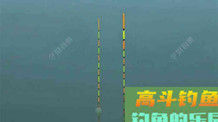 懂得调目与钓目，你就是调漂高手