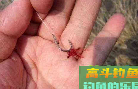 用红虫钓鱼怎么调漂？注意四个点