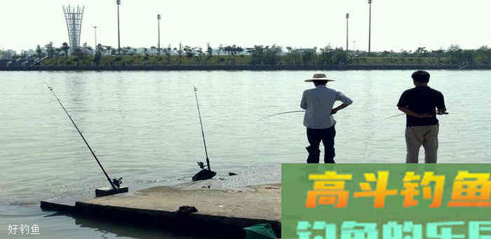 钓组调整，饵料到底后怎么做才能让每一口都是真实信号