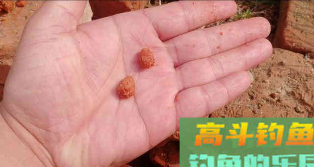 双钩带饵调漂，有两点要注意