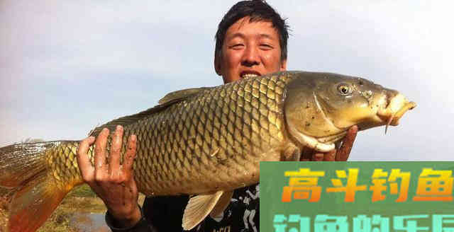 深度解析钓鱼看漂应如何正确抓口？提高中鱼率！